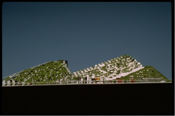 TURF TOWN 3