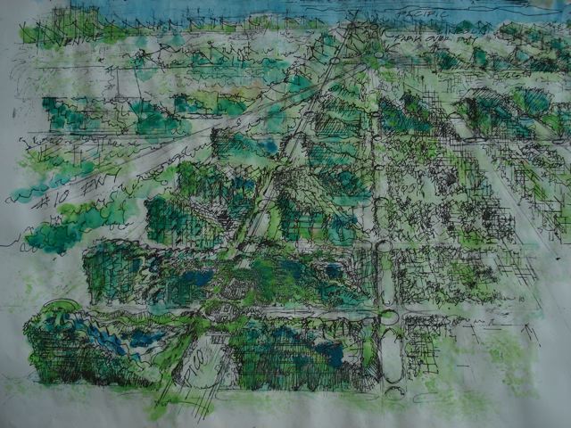 TURFTOWN 1